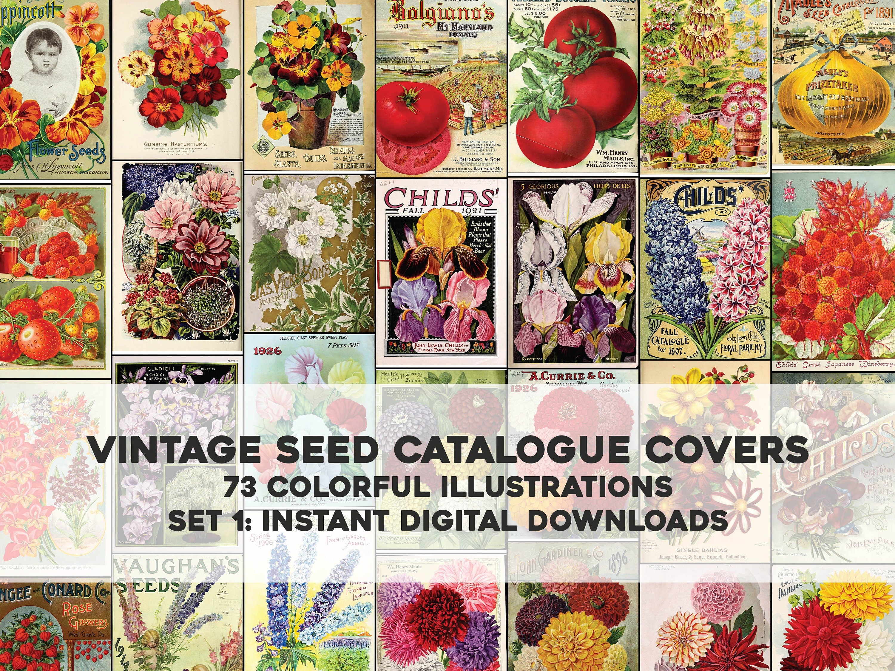 flower seed catalog Vintage Seed Catalogue Covers Set 1 | Flower Images