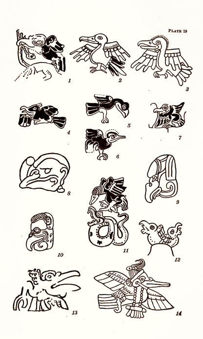 Animal Figures in Mayan Codices [37 Images]