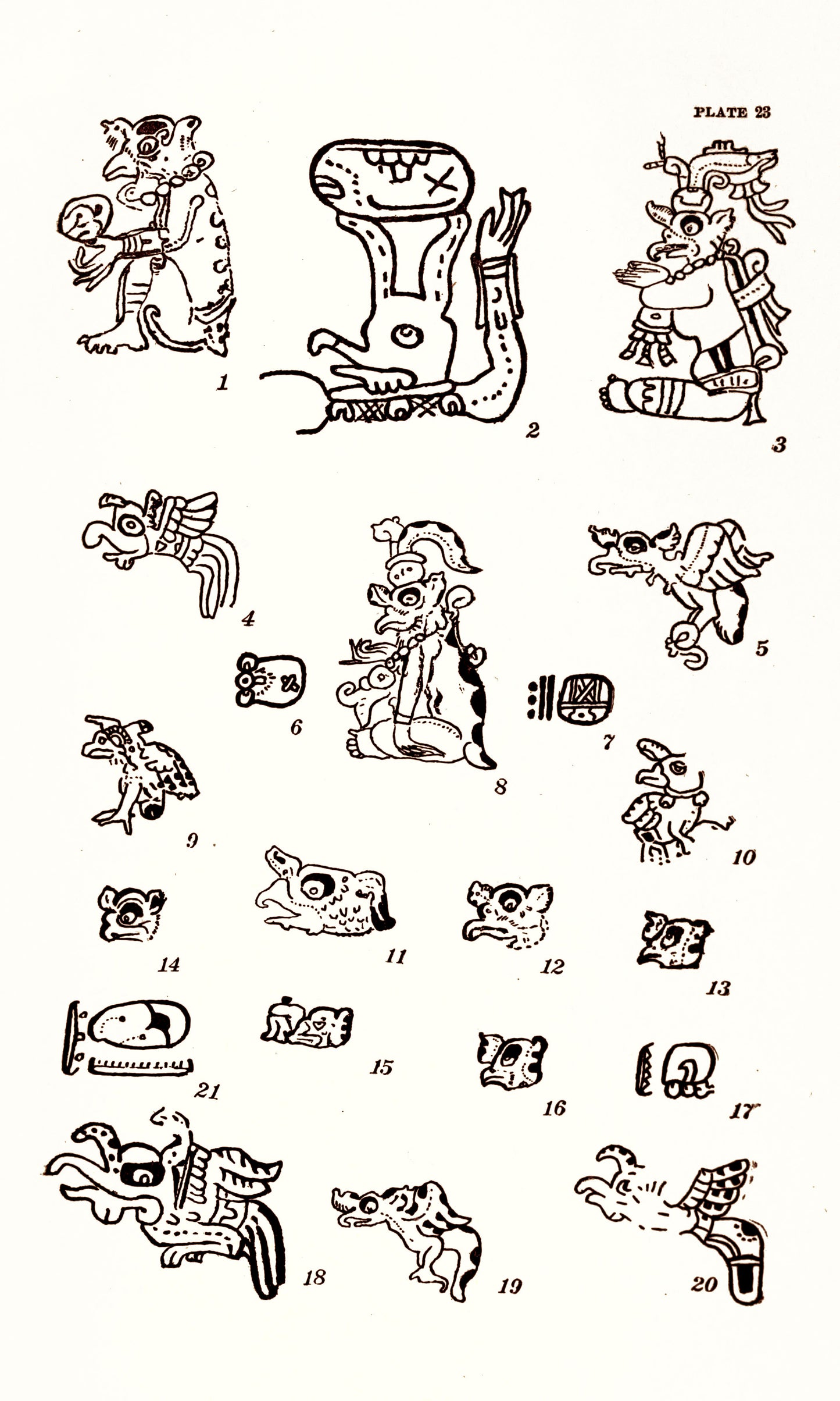 Animal Figures in Mayan Codices [37 Images]