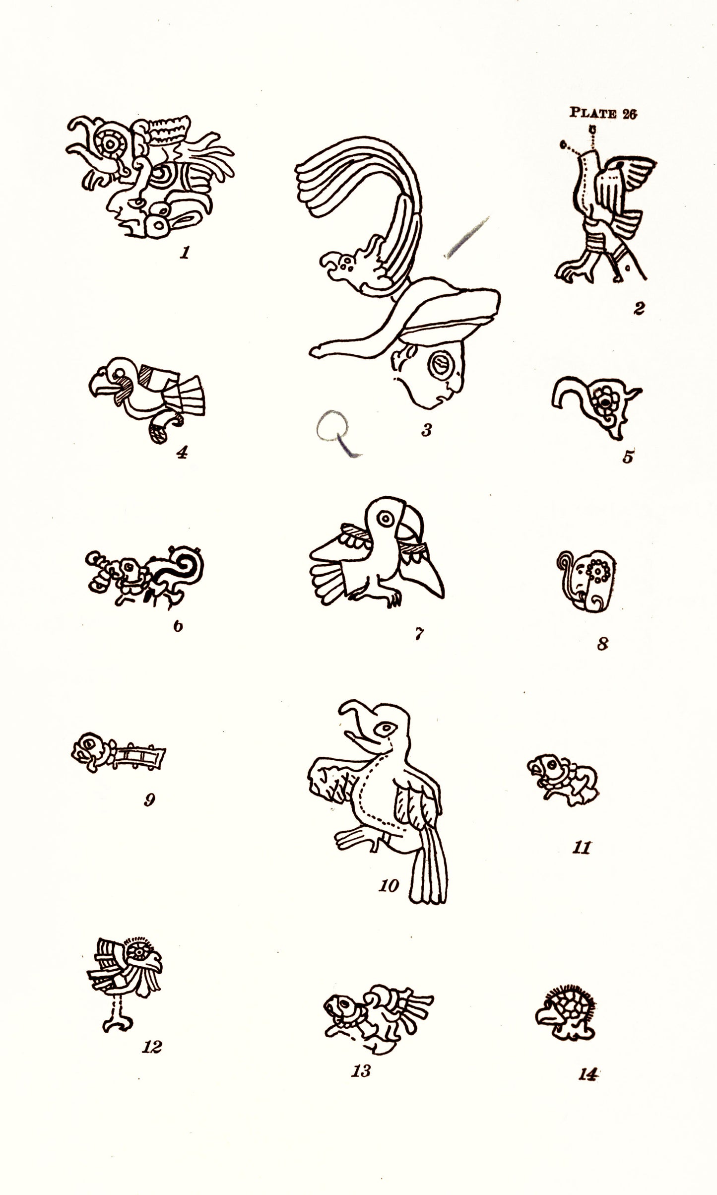 Animal Figures in Mayan Codices [37 Images]