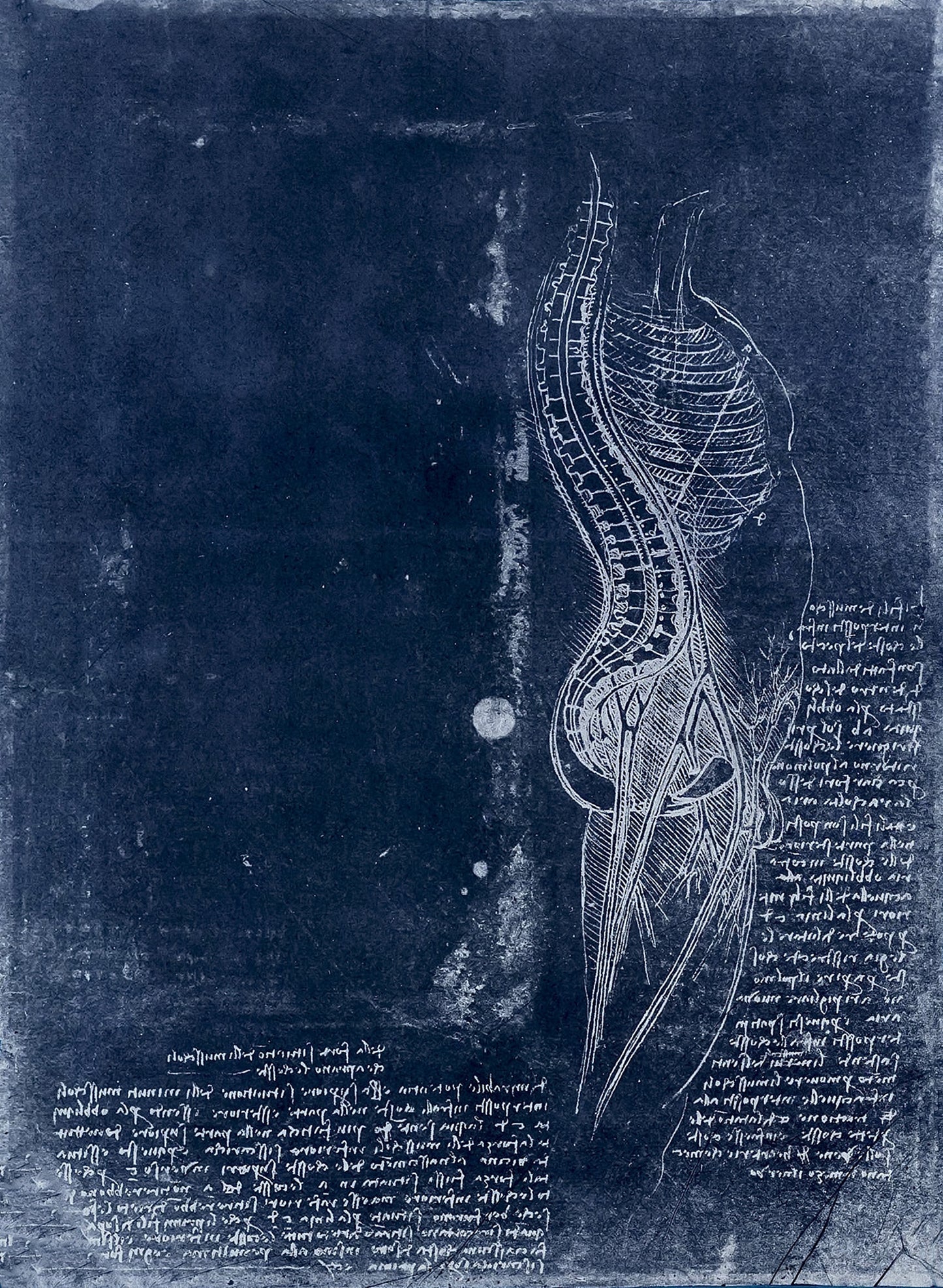 Leonardo Da Vinci Manuscript Pages Negatives Set 2 [93 Images]