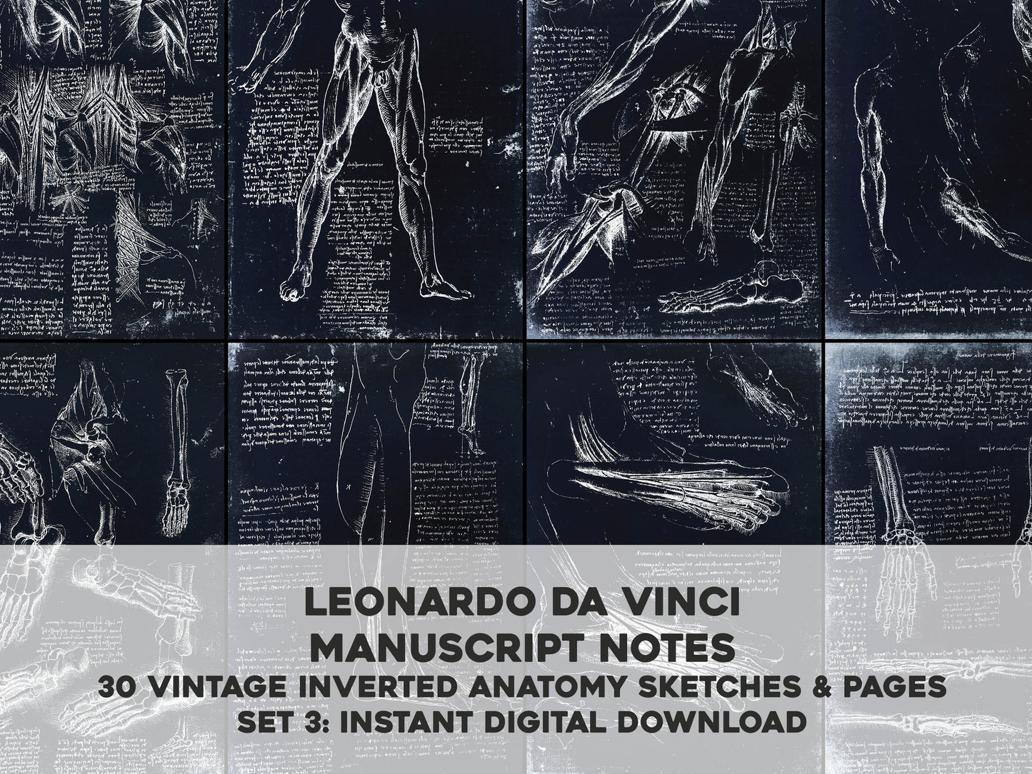 Leonardo Da Vinci Manuscript Pages Set 3 Negative [30 Images]