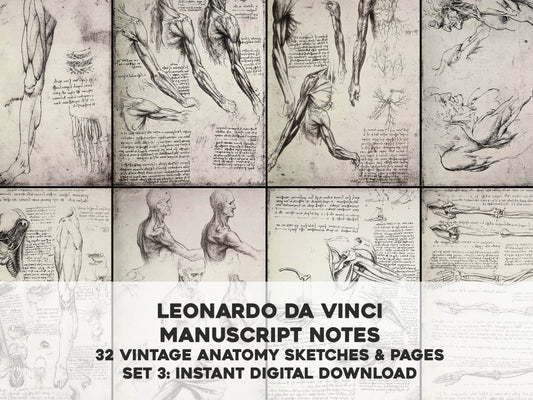 Leonardo Da Vinci Manuscript Pages Set 3 [32 Images]