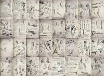 Leonardo Da Vinci Manuscript Pages Set 3 [32 Images]