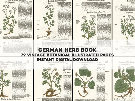 German Herbal Book [79 Images]