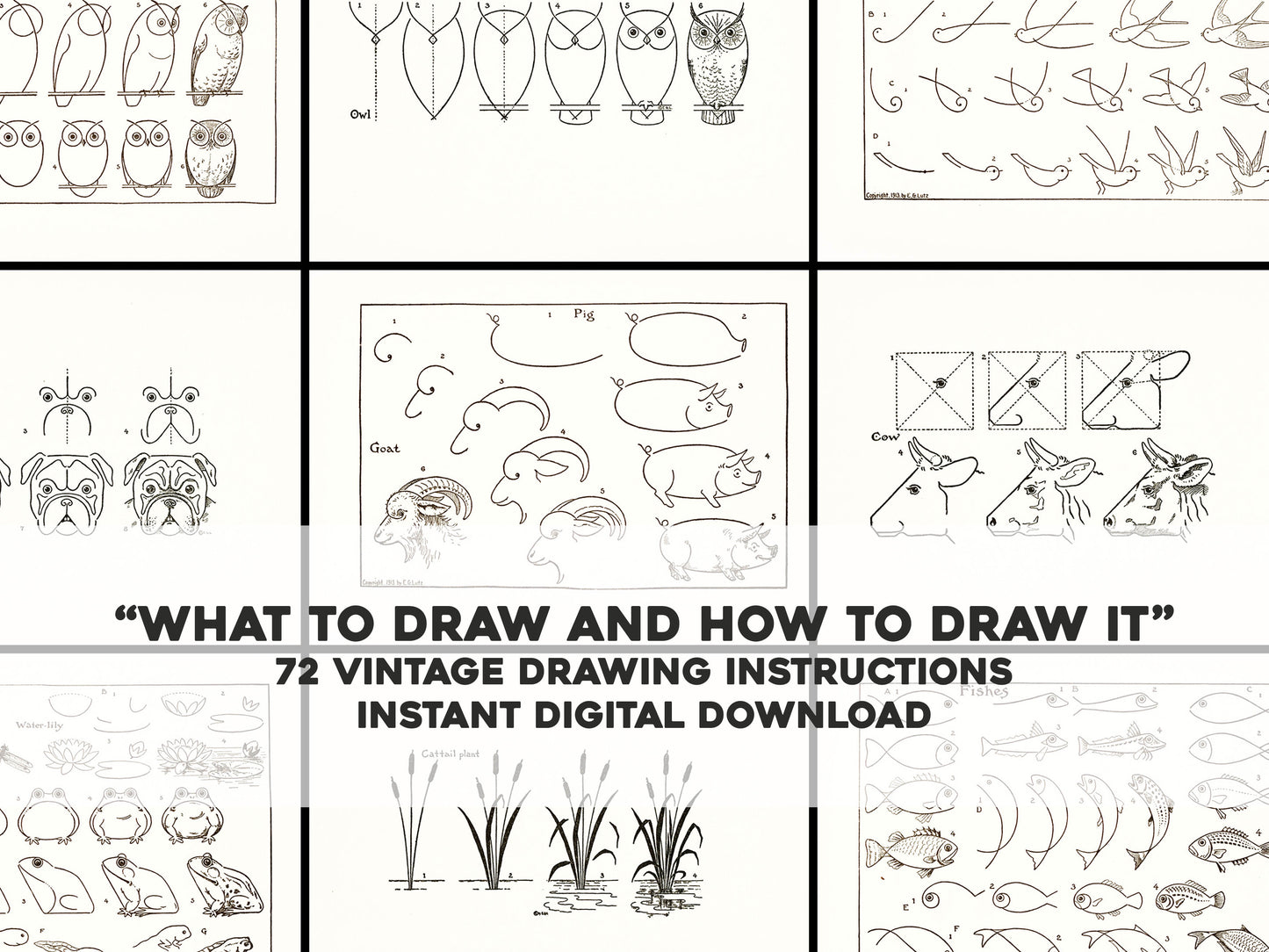 What to Draw and How to Draw It [72 Images]
