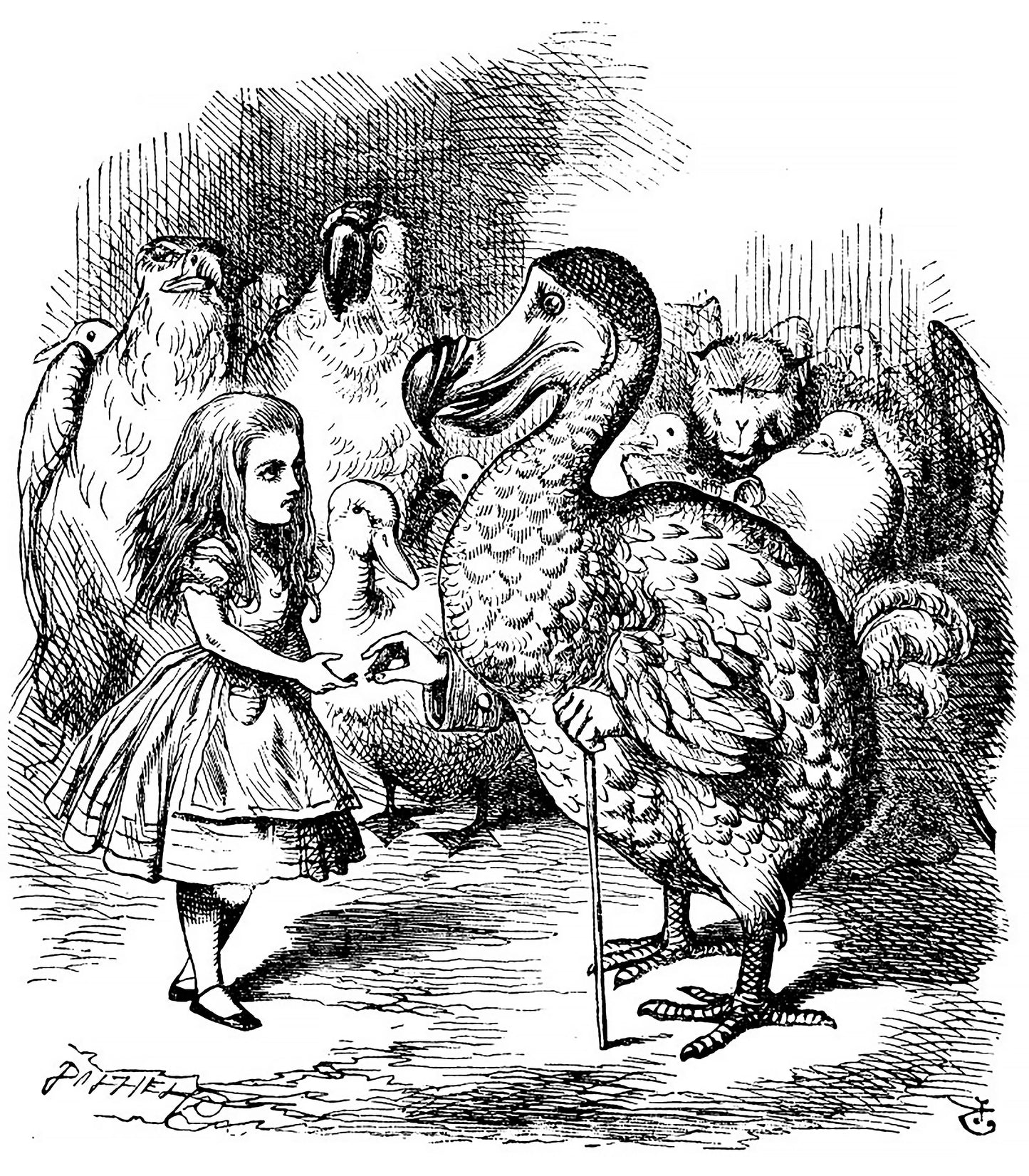 Alice in Wonderland Black & White Illustrations [42 Images]