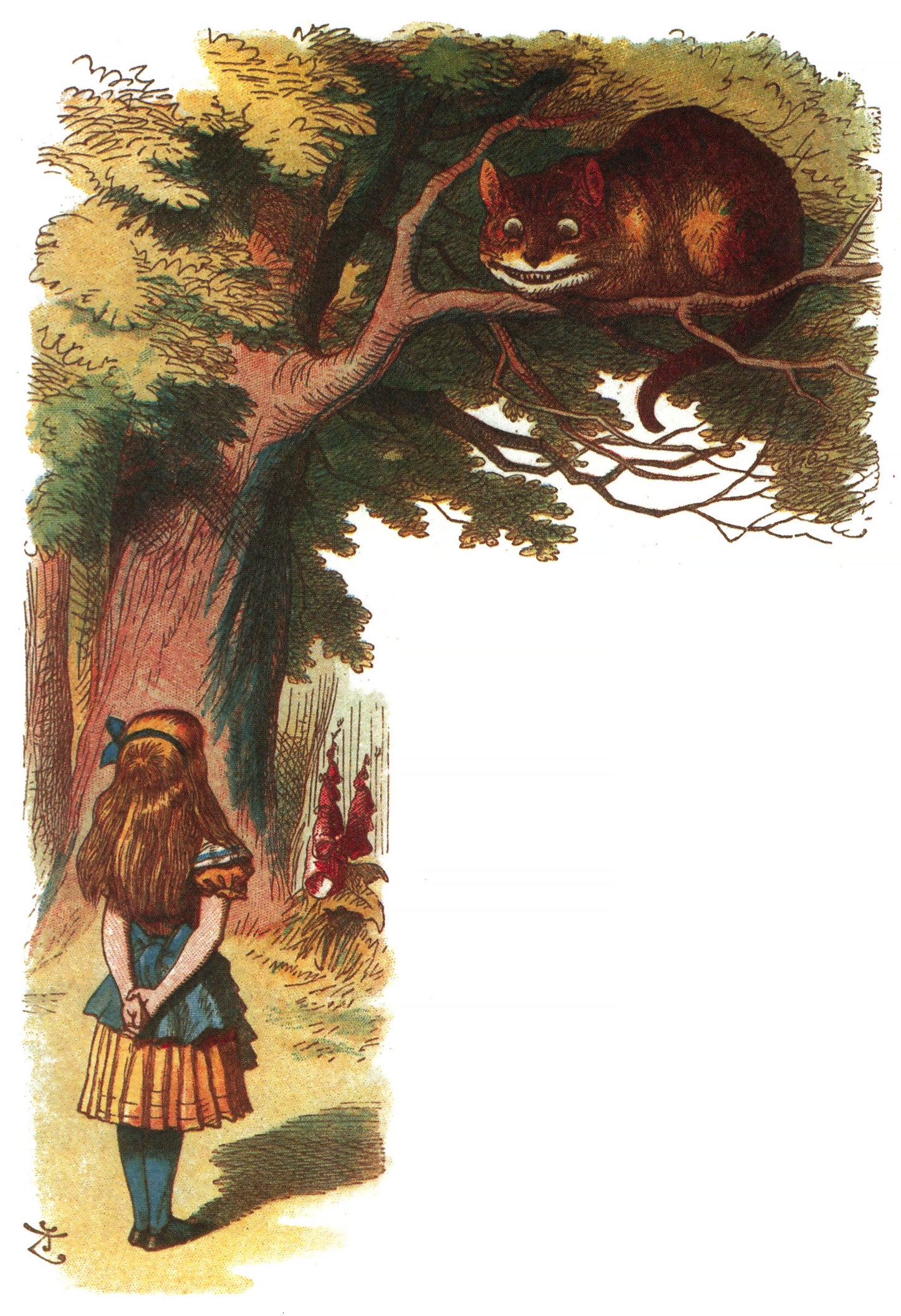 Alice in Wonderland Colored Illustrations [20 Images]