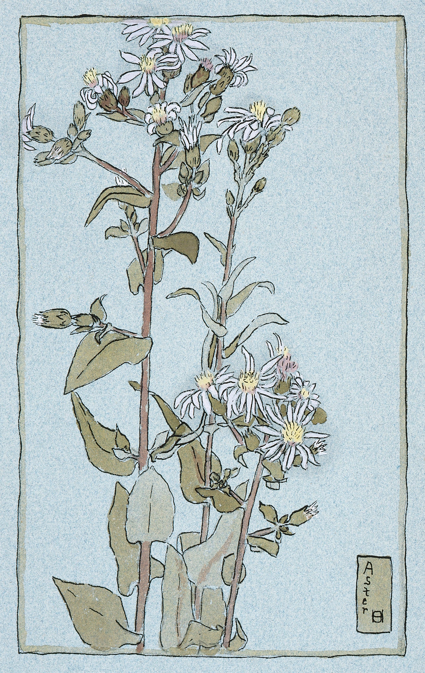 Hannah Overbeck Art Nouveau Botanical Works [47 Images]