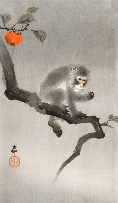 Ohara Koson Shin-Hanga Woodblock Prints Set 8 [39 Images]