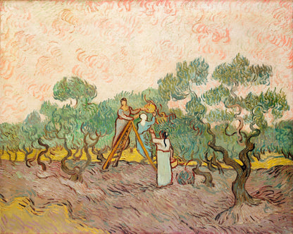 Vincent Van Gogh Post Impressionist Paintings Set 4 [28 Images]