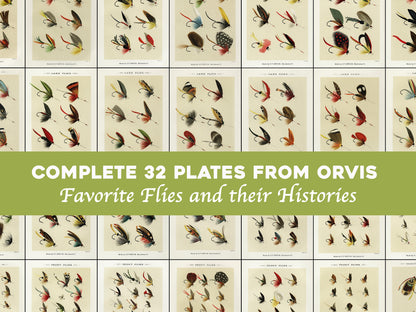Mary Orvis Favorite Flies & Their Histories [32 Images]