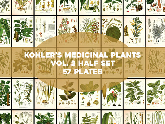 Kohler's Medicinal Plants Set 2 Half Set 2 [57 Images]