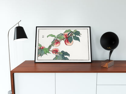 Morimoto Toko Insect & Botanical Woodblock Prints [24 Images]
