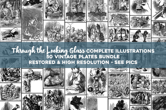 Alice in Wonderland Through the Looking Glass Black & White Illustrations [50 Images]
