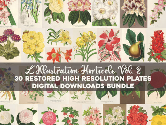 L’Illustration Horticole Set 2 [30 Images]
