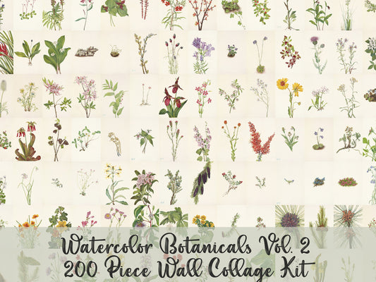 Watercolor Wildflowers 4"x6" Collage Kit Set 2 [200 Images]
