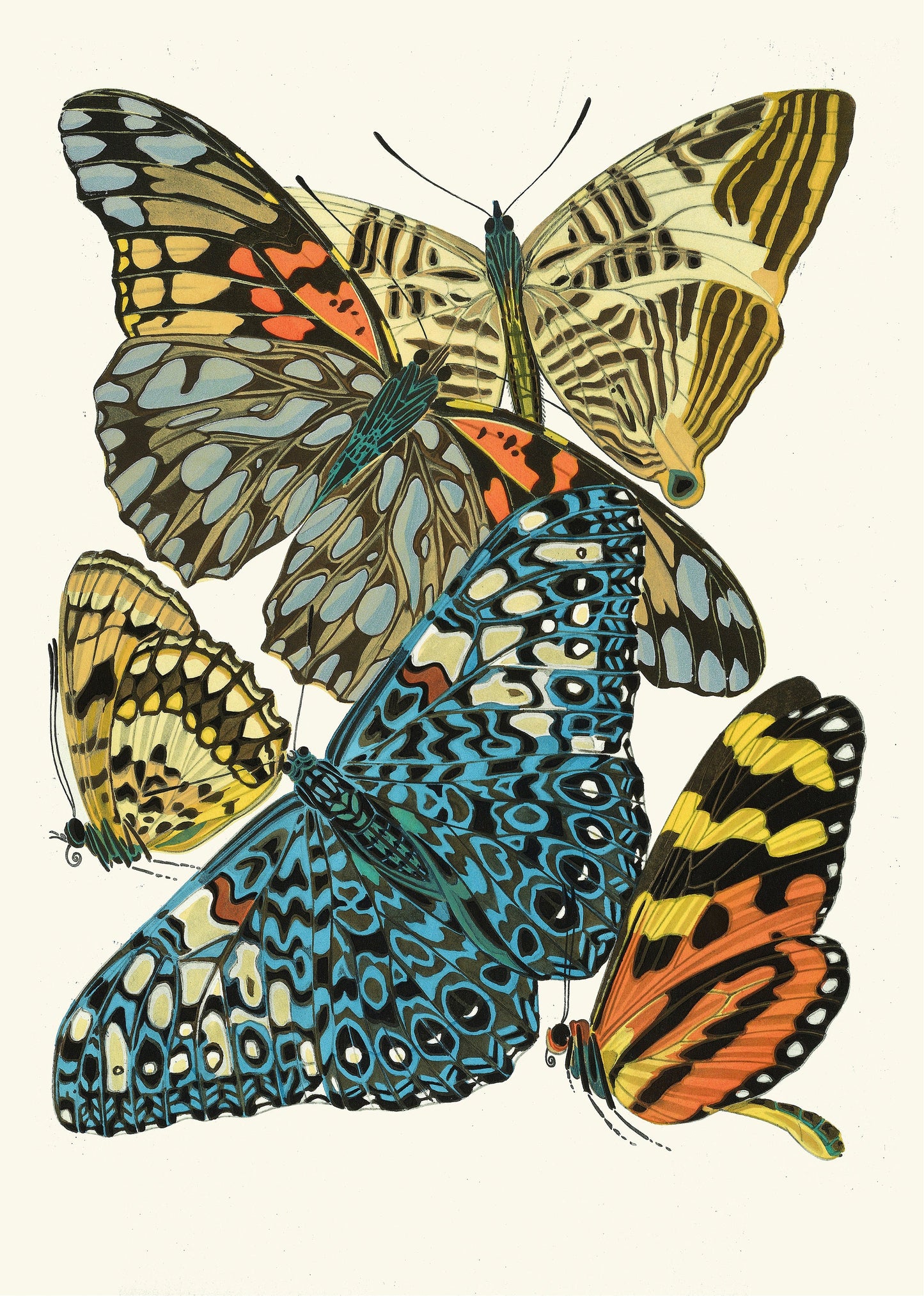 Papillons Butterflies Emile-Allain Séguy [20 Images]
