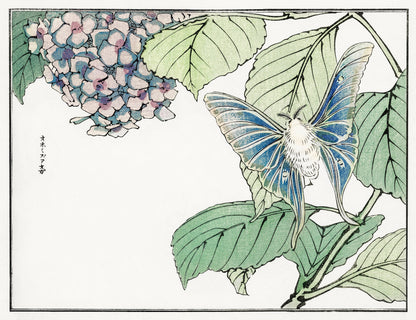 Morimoto Toko Moth and Plant Woodblock Print [1 Image]