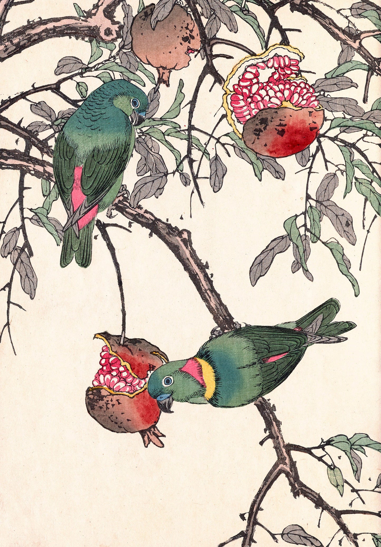 Keinen Kacho Gafu Japanese Birds & Flowers [42 Images]