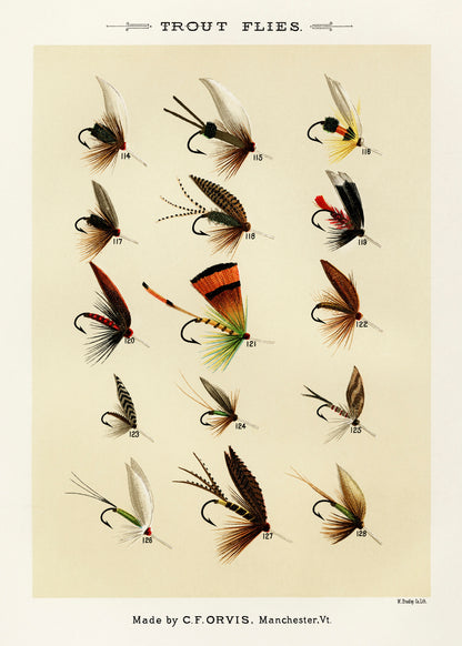 Mary Orvis Trout Flies 3 [1 Image]