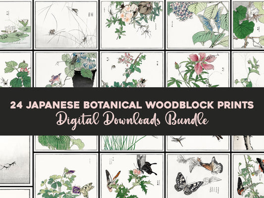 Morimoto Toko Insect & Botanical Woodblock Prints [24 Images]