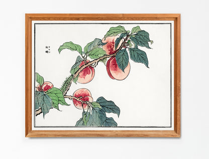 Morimoto Toko Caterpillar on a Peach Woodblock Print [1 Image]