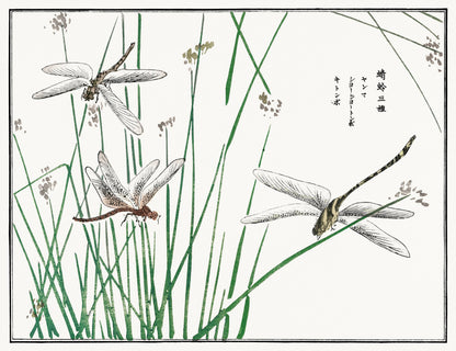 Morimoto Toko Dragonflies Woodblock Print [1 Image]