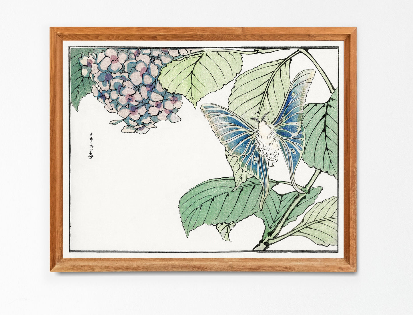 Morimoto Toko Moth and Plant Woodblock Print [1 Image]