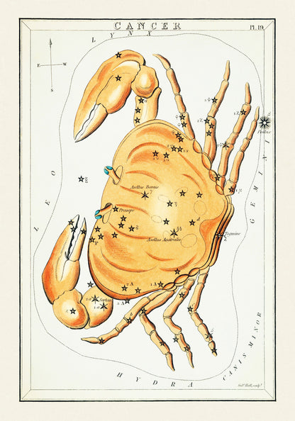 Cancer Constellation Star Chart [1 Image]