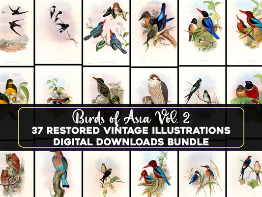 John Gould Birds of Asia Set 2 [37 Images]