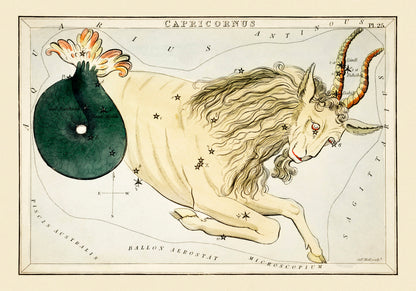 Capricorn Constellation Star Chart [1 Image]