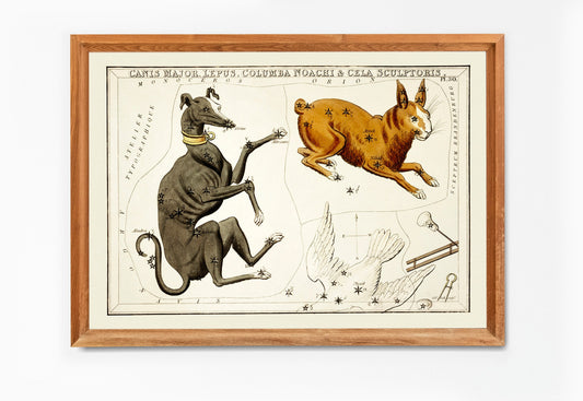 Canis Major Constellation Star Chart [1 Image]