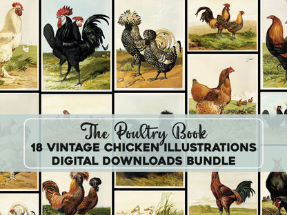 The Poultry Book Chickens & Roosters [18 Images]