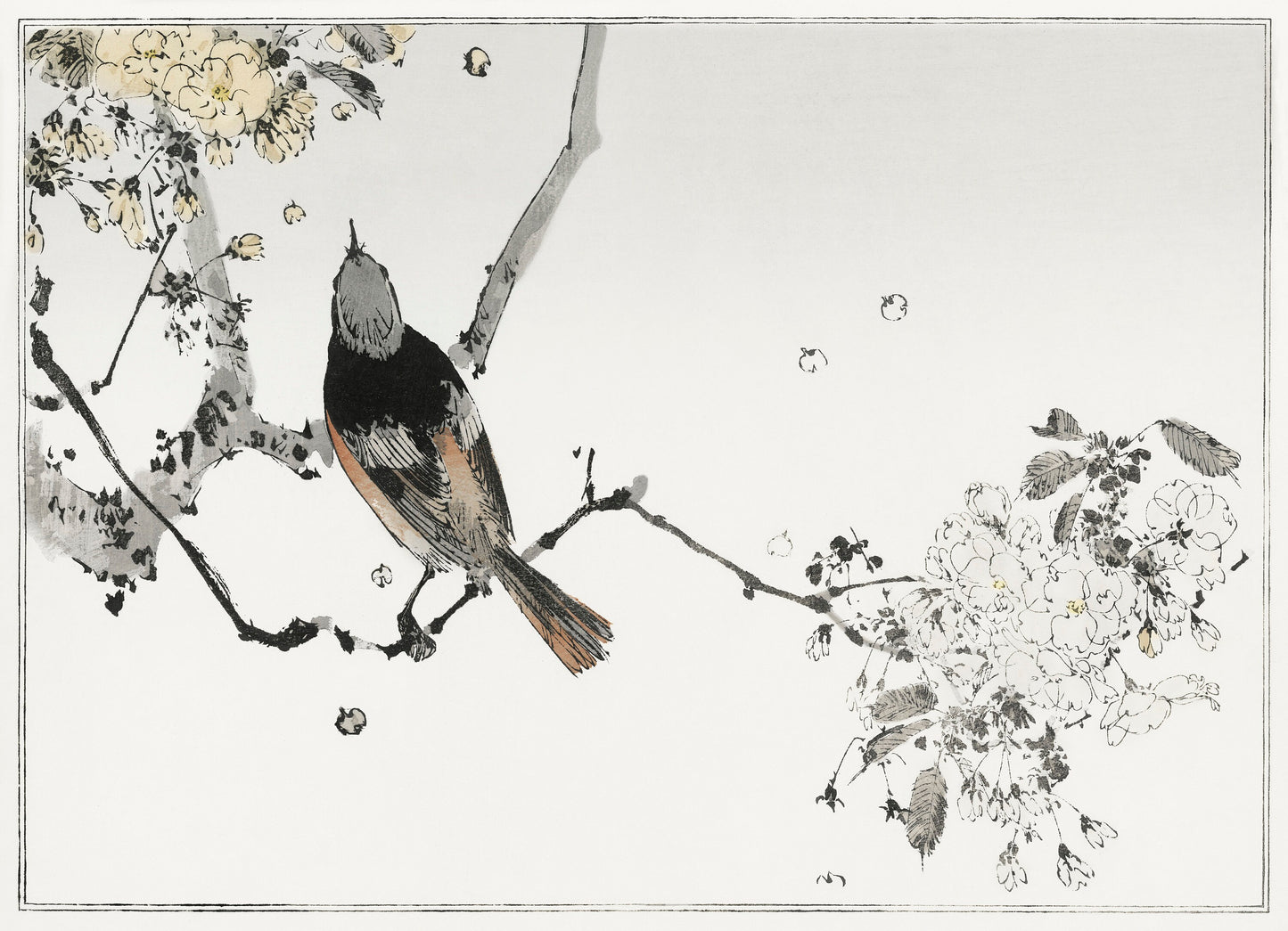 Seitei Kacho Gafu Bird & Flower Woodblock Prints [17 Images]