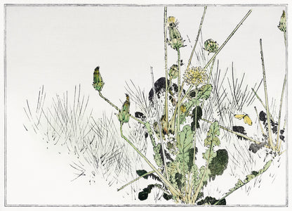 Seitei Kacho Gafu Bird & Flower Woodblock Prints [17 Images]