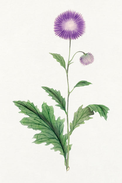 Japanese Floral Painting Artworks [18 Images]