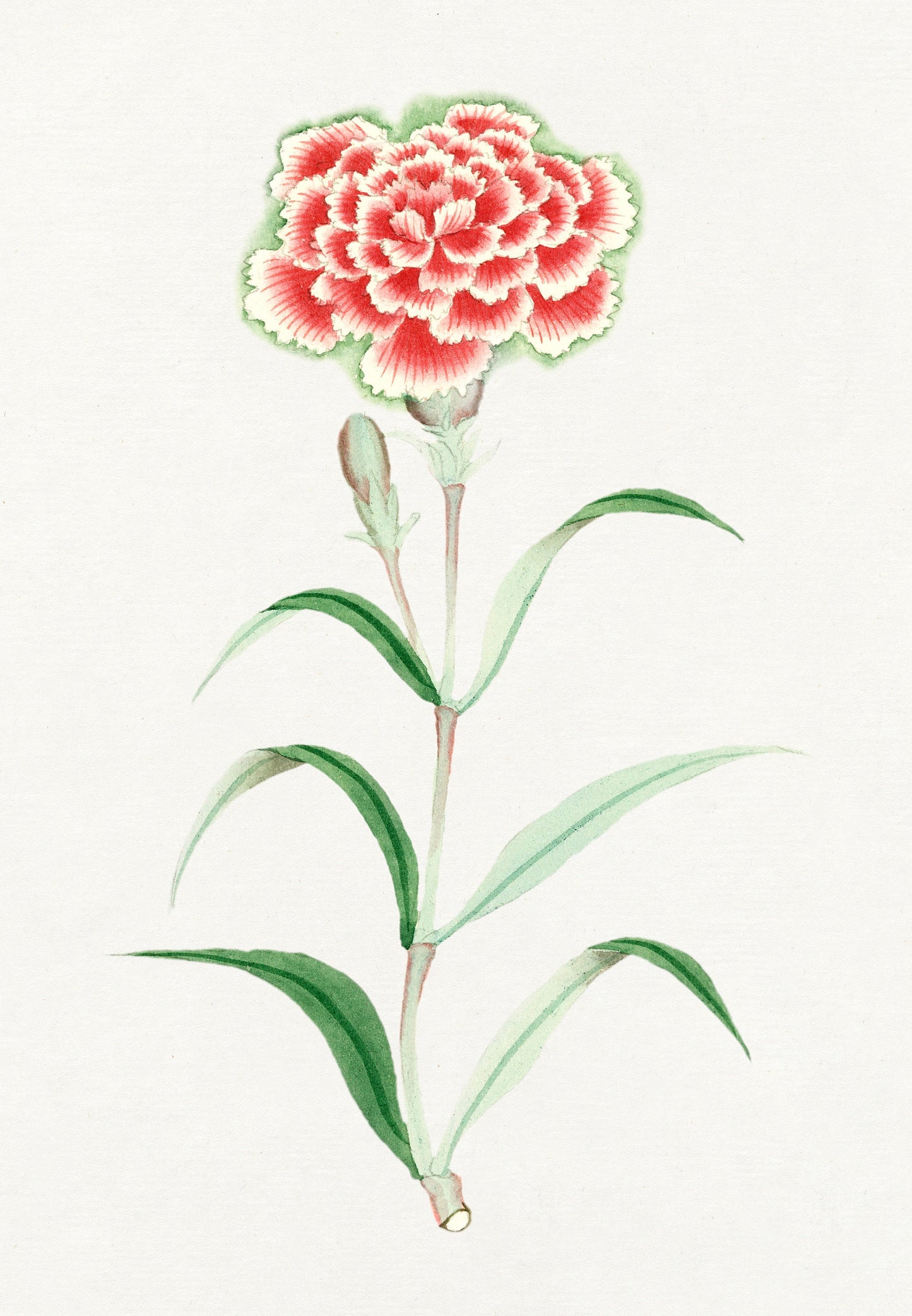 Japanese Floral Painting Artworks [18 Images]