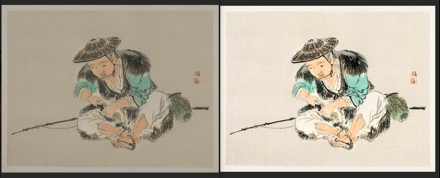 Bairei Gakan Woodblock Prints Set 2 [53 Images]