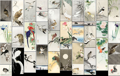Ohara Koson Shin-Hanga Woodblock Prints Set 6 [40 Images]