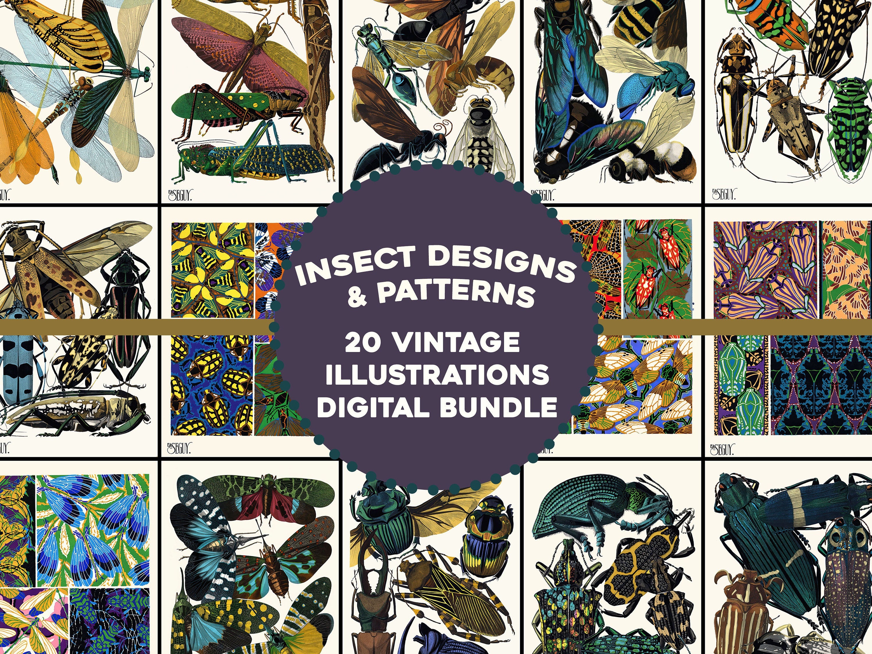 Guy Insect Design Insectes Insect Designs Emile-Allain Séguy | Ornamental & Design Images ...
