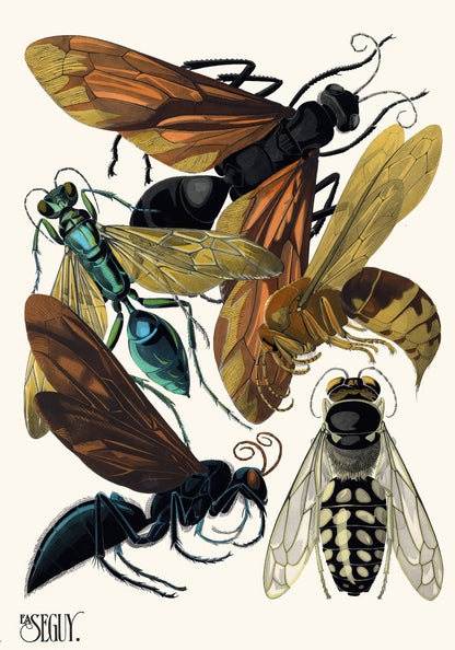 Insectes Insect Ornamental Designs Emile-Allain Séguy [20 Images]