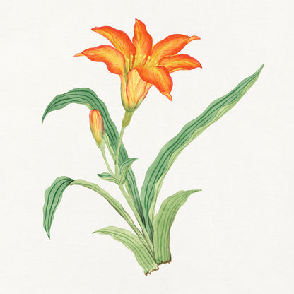 Japanese Floral Painting Artworks [18 Images]