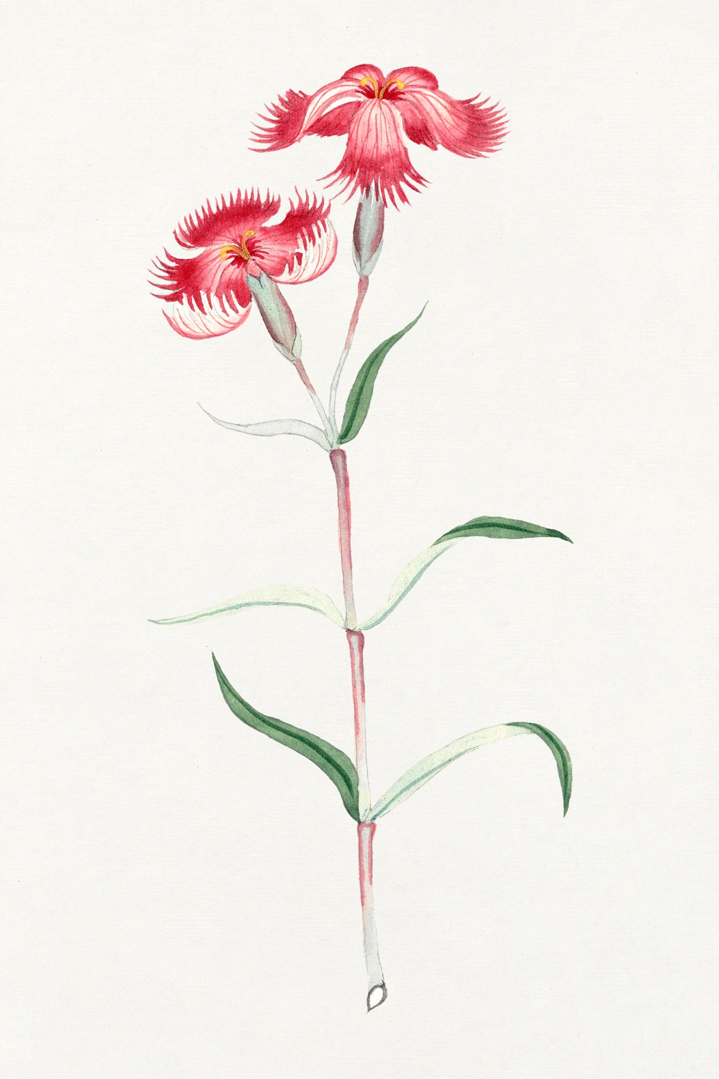 Japanese Floral Painting Artworks [18 Images]