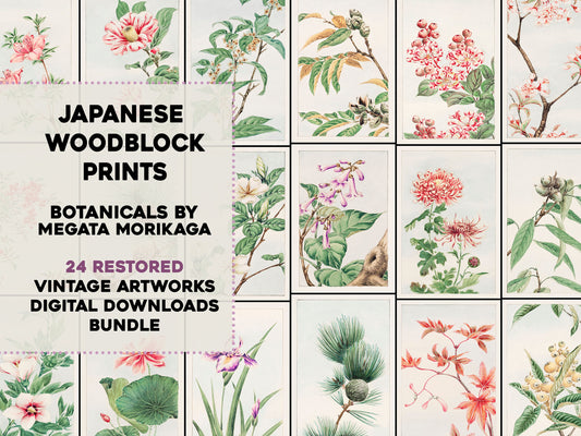 Megata Morikaga Japanese Flowers Botanical Illustrations [24 Images]