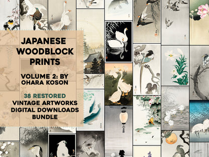 Ohara Koson Shin-Hanga Woodblock Prints Set 2 [38 Images]