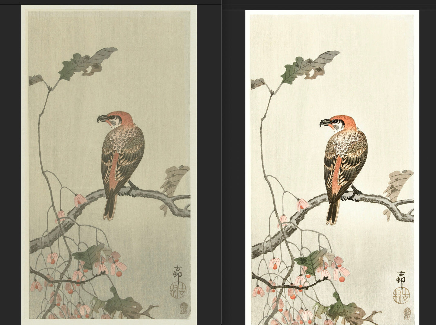 Ohara Koson Shin-Hanga Woodblock Prints Set 4 [37 Images]