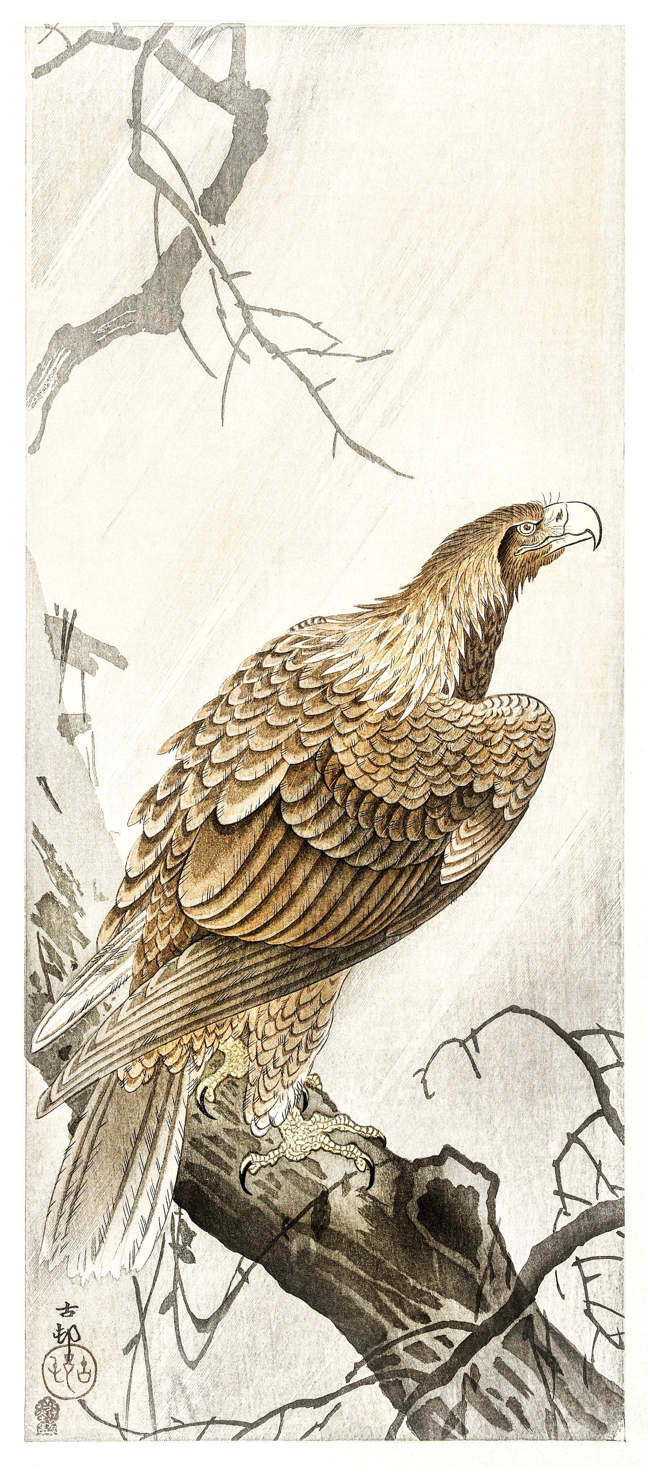 Ohara Koson Shin-Hanga Woodblock Prints Set 6 [40 Images]