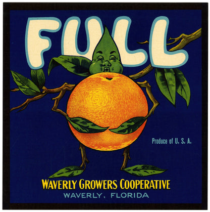 Florida Citrus Vegetable Produce Farm Crate Labels Set 2 [85 Images]