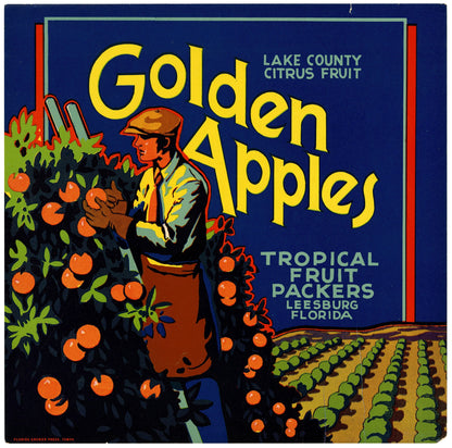 Florida Citrus Vegetable Produce Farm Crate Labels Set 2 [85 Images]